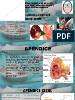 Apendicectomia Exposiscion