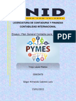 Tarea 3. Ensayo Plan General Contable para Las PYMES