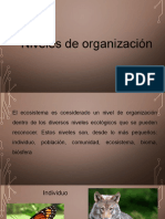 Individuo, Poblacion Comunidad y Ecosistema Hasta Red Trofica-Para Enviar