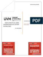 Mapa Conceptual Enfermedades Respiratorias