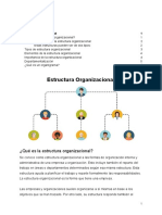 Estructura Organizacional