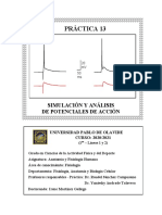 Práctica 13 Potenciales de Acción - Cuadernillo