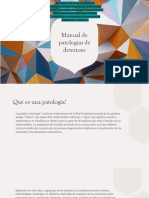 Manual Digital de Las Patologias de Deterioro en Obras Arquiteconicas
