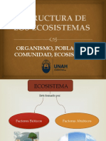 El Ecosistema