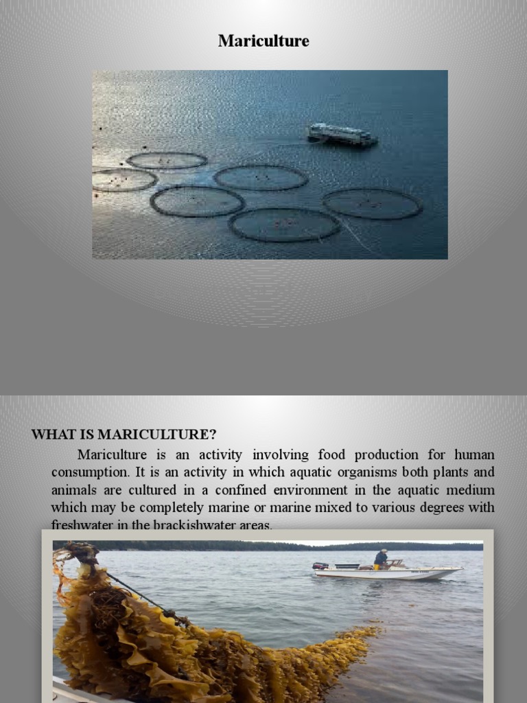 An In Depth Look At Mariculture Types Environmental Impacts And