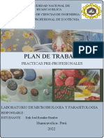 Plan de Trabajo Practicas Preprofesionales