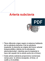 Arteria Subclavia