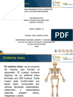 Fase 2 Locomoción humana. Sistemas óseo, muscular y nervioso