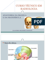 2 - Anatomia Da Maxila e Da Mandíbula
