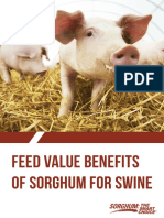Feed Value Benefits of Sorghum For Swine 2016 - 09 - 02 - SwineFeedingGuide