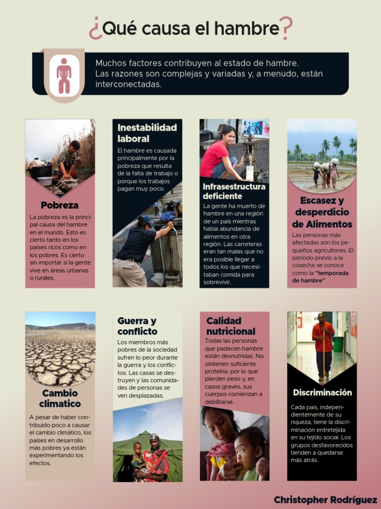 Infografía Sobre El Hambre En El Mundo 37.400+ Pobreza Y El Hambre