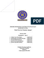 Observasi Tanaman Jagung - KLP 8 PPTPH