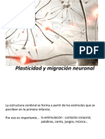 Plasticidad y Migración Neuronal