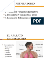 9 Proceso Respiratorio