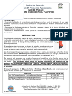 Guía Pedagógica #5 - Proyecto de Ed - Fisica y Artistica - Ipa - A Color