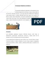Principales actividades primarias en México: agricultura, ganadería, pesca y explotación forestal