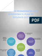 Principios Pedagógicos Que Sustentan El Plan de Estudios