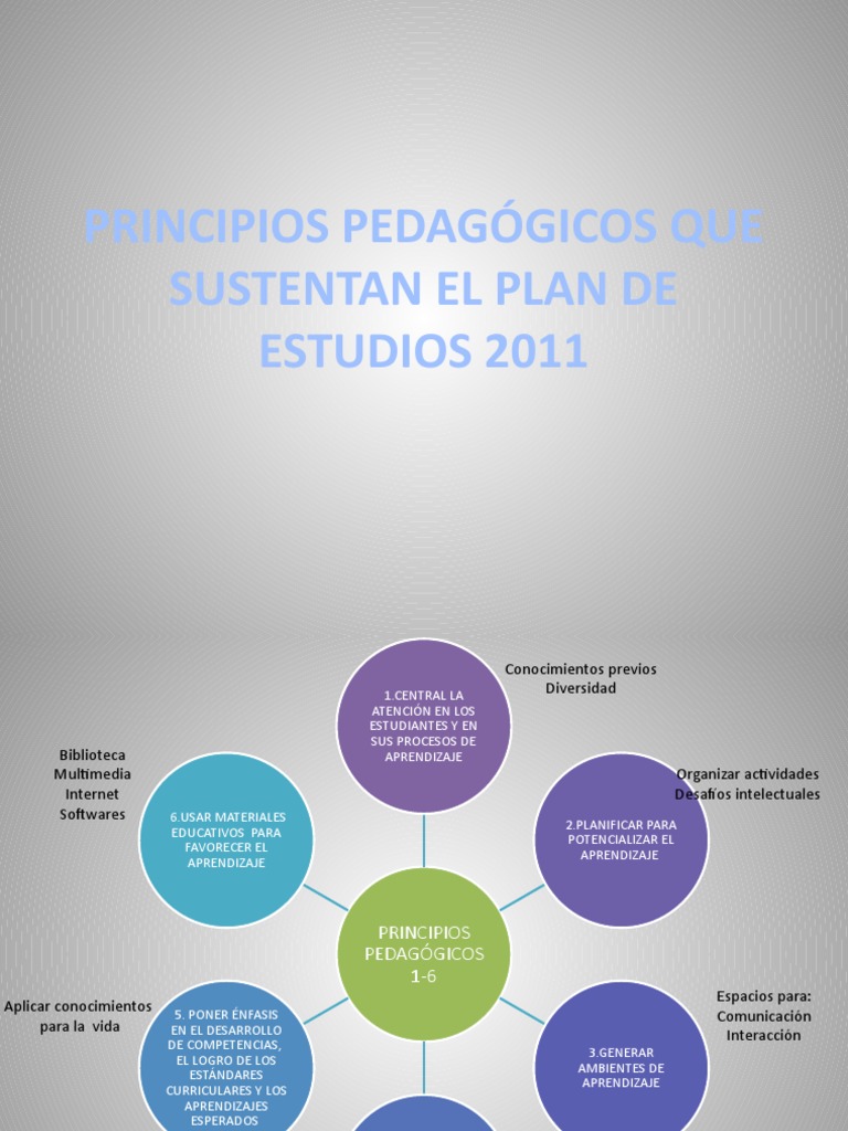 Principios Pedagógicos Que Sustentan El Plan de Estudios | PDF | Plan ...