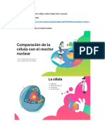 Comparativa célula vs Reactor nuclear