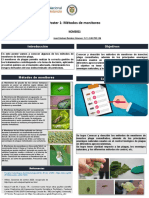 Tarea 2 - Poster I