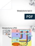 Metabolisme Lipid 2-1