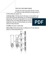 NUÔI CẤY NỐT ĐƠN THÂN