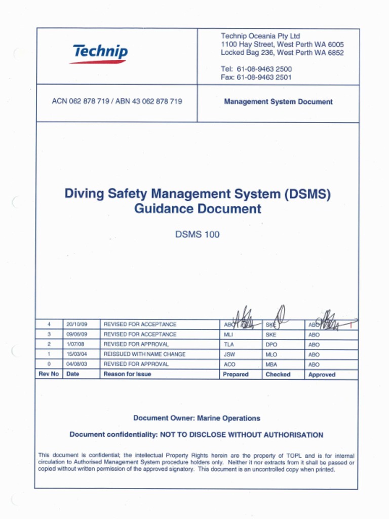 DSMS 100 Rev 4 | PDF | Audit | Risk Management