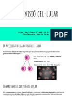 La Divisió Cel Lular-Alex Martinez