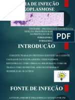 Cadeia de Infeção - Toxoplasmose