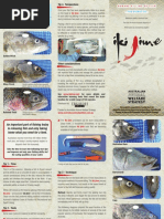 Ikijime BRCH Freshwater