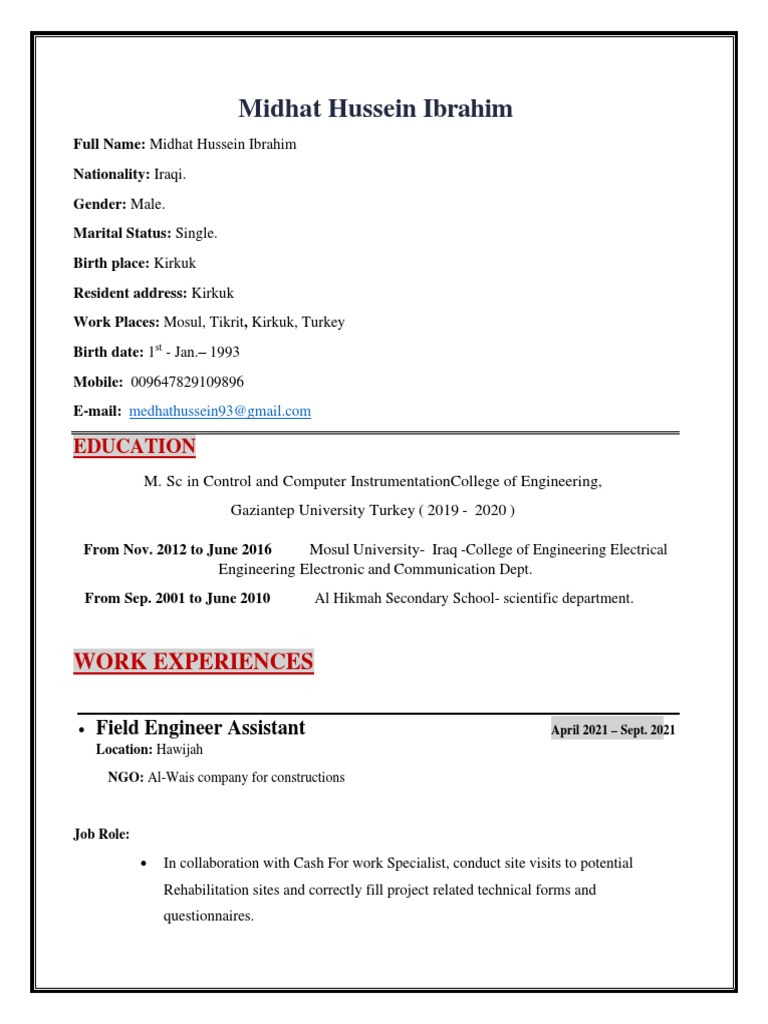 Midhat Hussein Ibrahim's Professional Profile | PDF