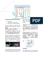 1 LOFOFORADOS Resumen Libro + Apuntes Clase