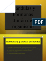 Glándulas y Hormonas Timon Del Organismo