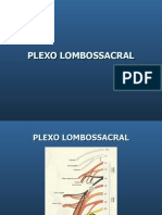 Plexo Lombossacral