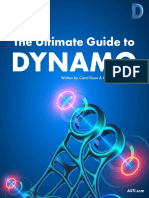 The Ultimate Guide To Dynamo