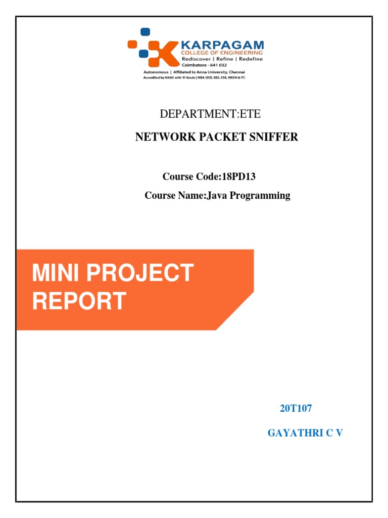 Mini Project Network Packet Sniffer PDF Computer Network Java