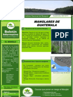 Beneficios y amenazas de los manglares de Guatemala
