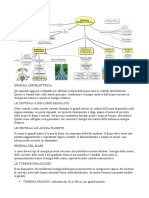 ENERGIA IDROELETTRICA