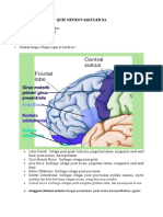 Quiz Neuro 8A