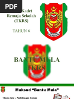 Pengertian Logo KRS - Kadet Remaja Sekolah Malaysia | PDF