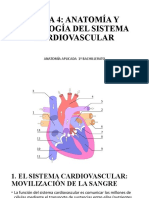 Tema 4 Sistema Cardiovascular