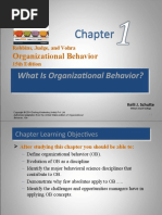 What Is Organizational Behavior?