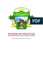 Informe de Practicas - Mili Perez