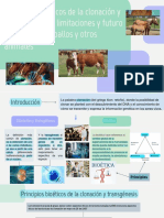 Técnicas de clonación y transgénesis en equinos