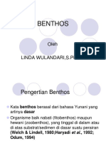 BENTHOS DASAR PERAIRAN