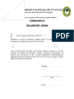 Declaracion Jurada - Formulario 02 - Maestria