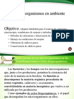 Microorganismos en Ambiente