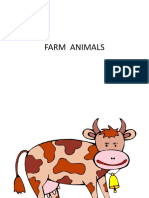 Farm Animals