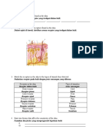 Latihan Sensory Organ