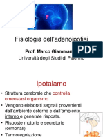 Adenoipofisi Prof. Marco Giammanco